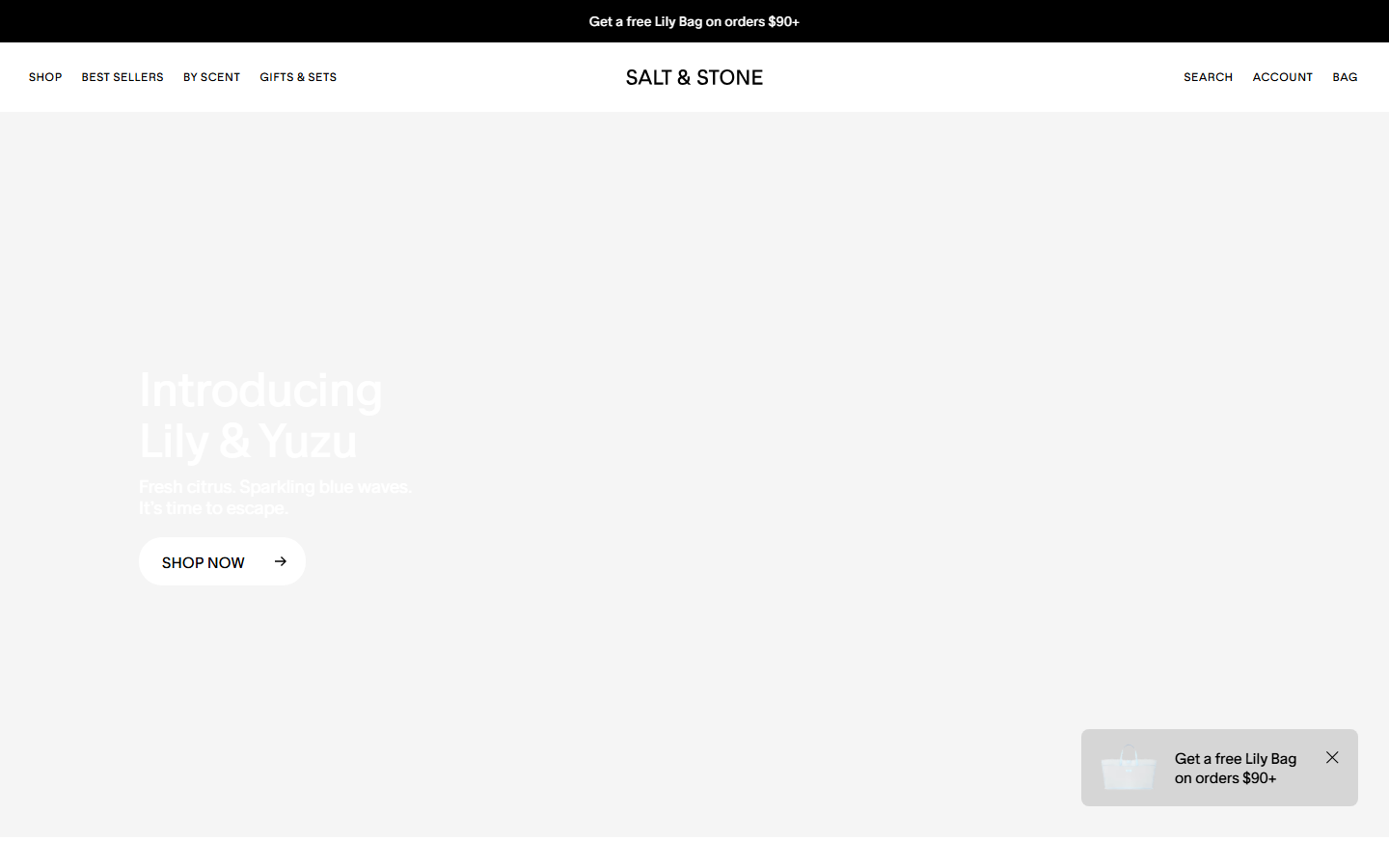 Salt & Stone homepage